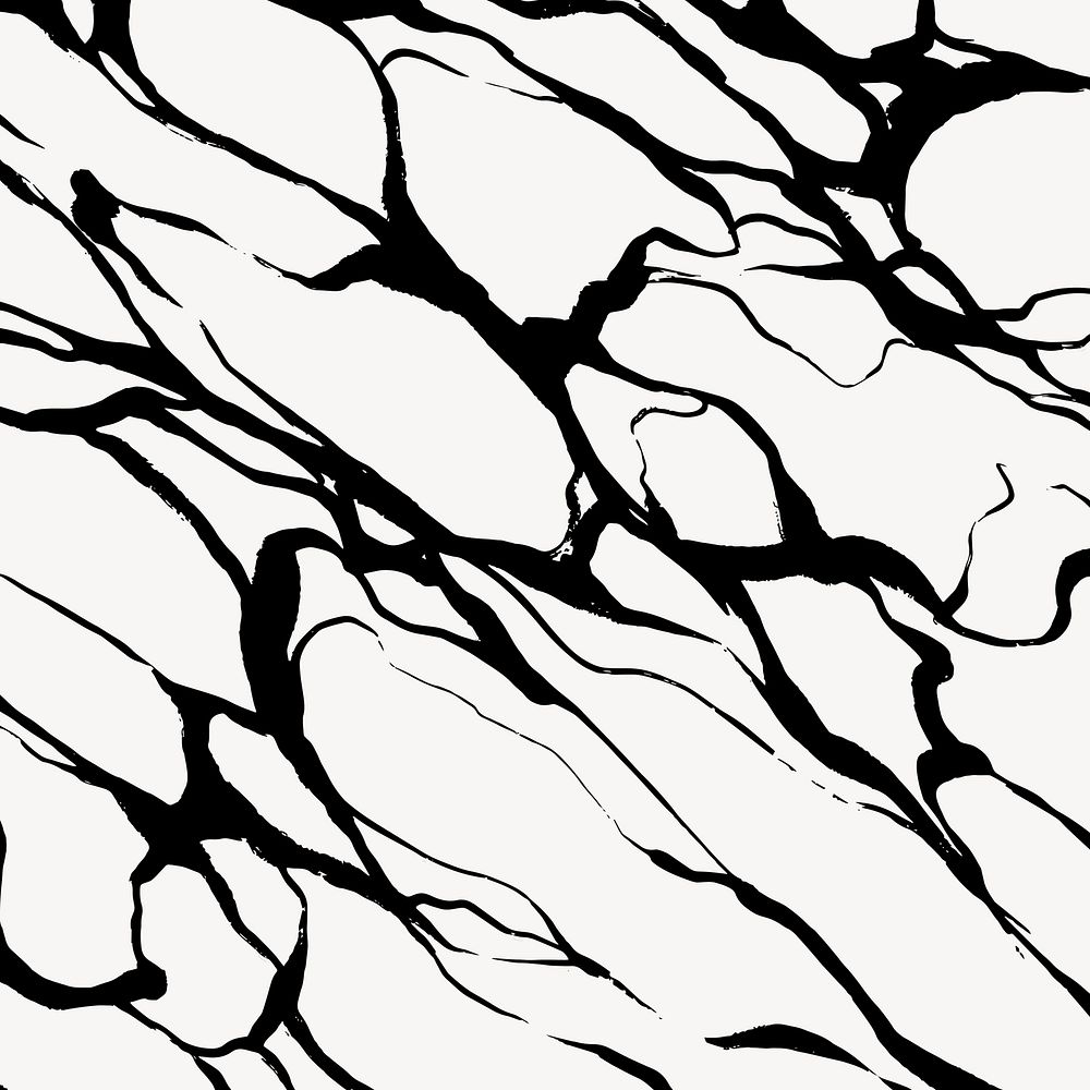 Abstract wavy background, black and white design vector