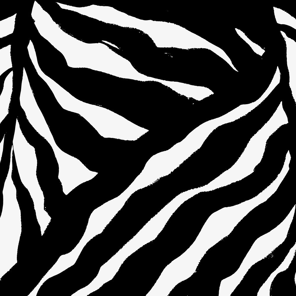 Abstract zebra pattern background, simple design vector