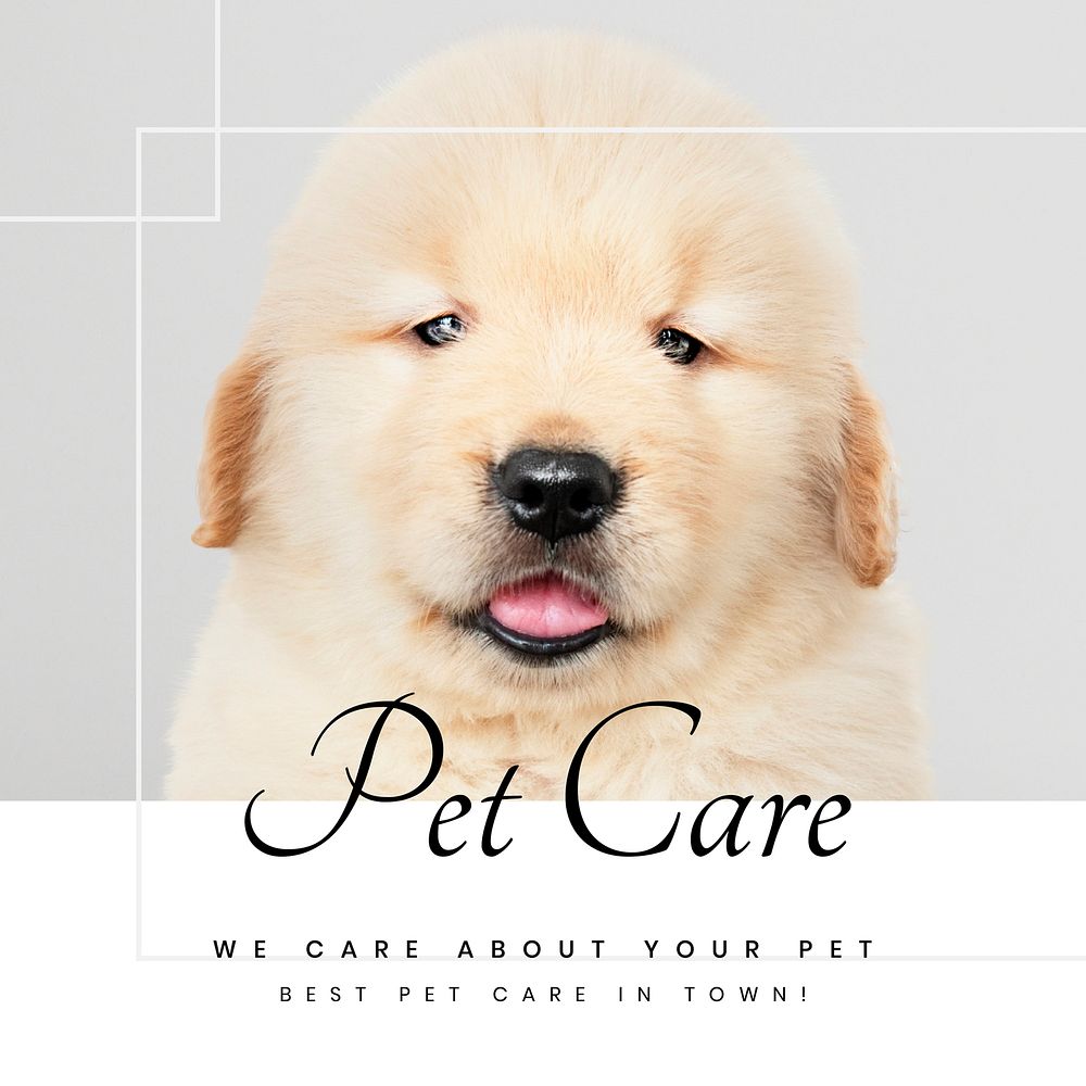 Pet care Instagram post template, cute puppy photo vector
