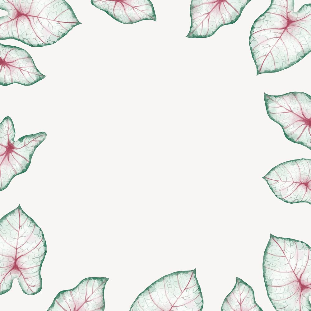 Caladium leaf frame background, aesthetic design vector