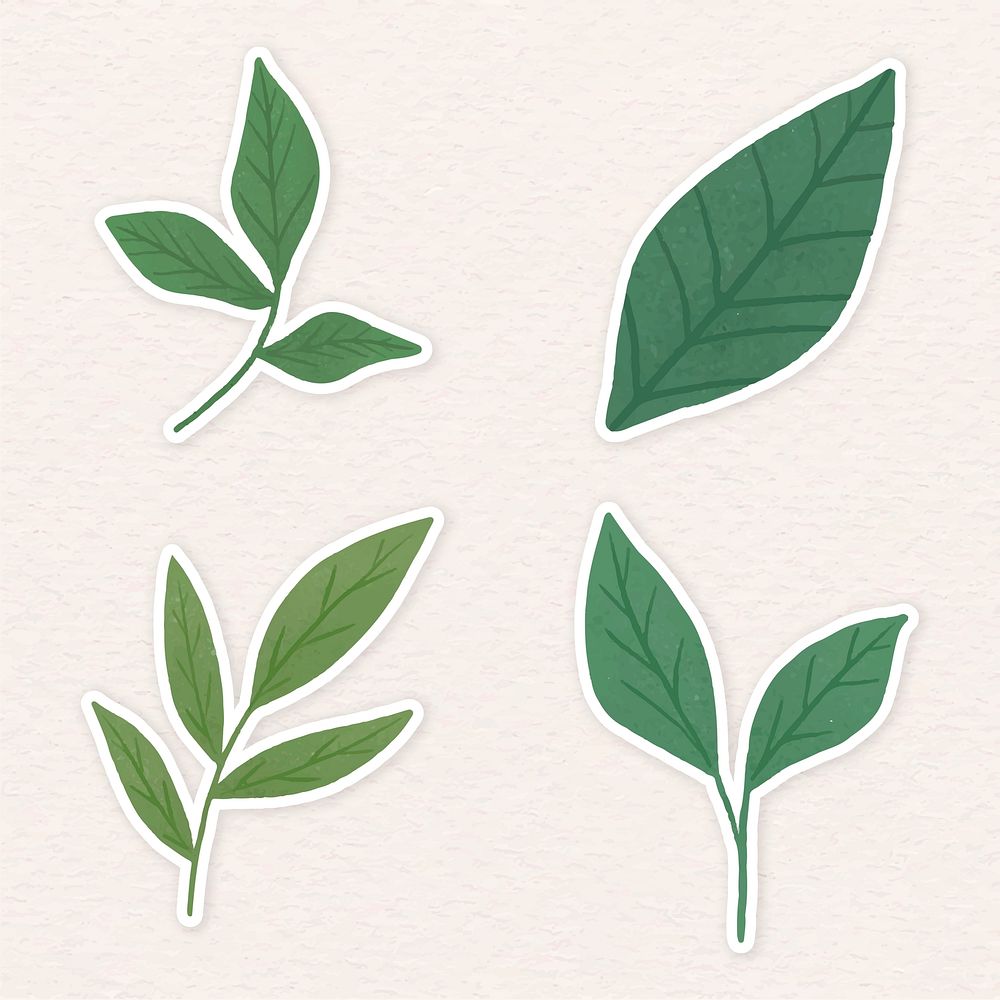 Green leaves sticker collection illustration