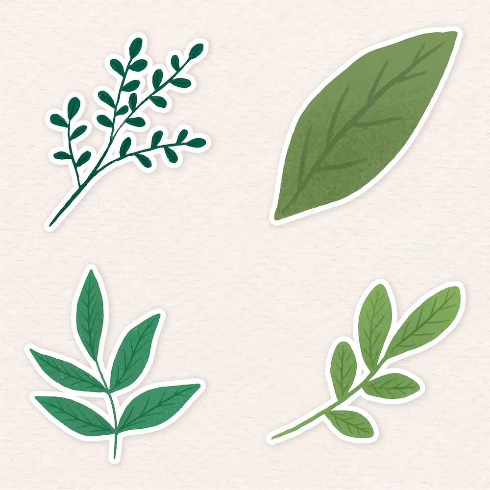 Green leaves sticker collection illustration
