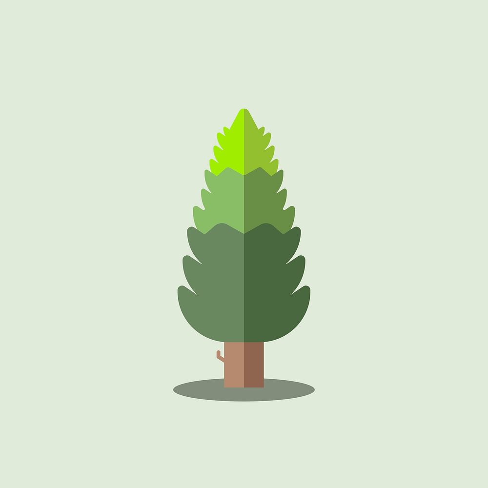 Green  botany pine tree vector
