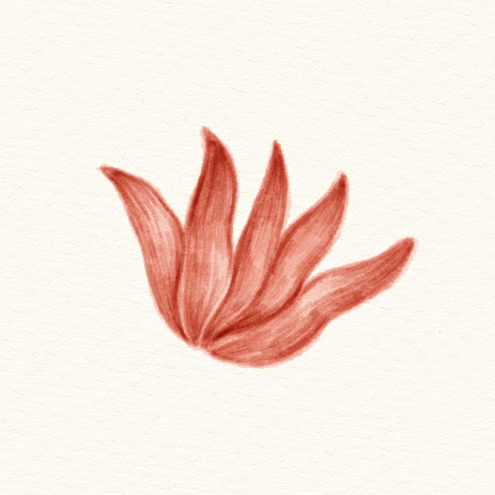 Hand drawn red flower illustration