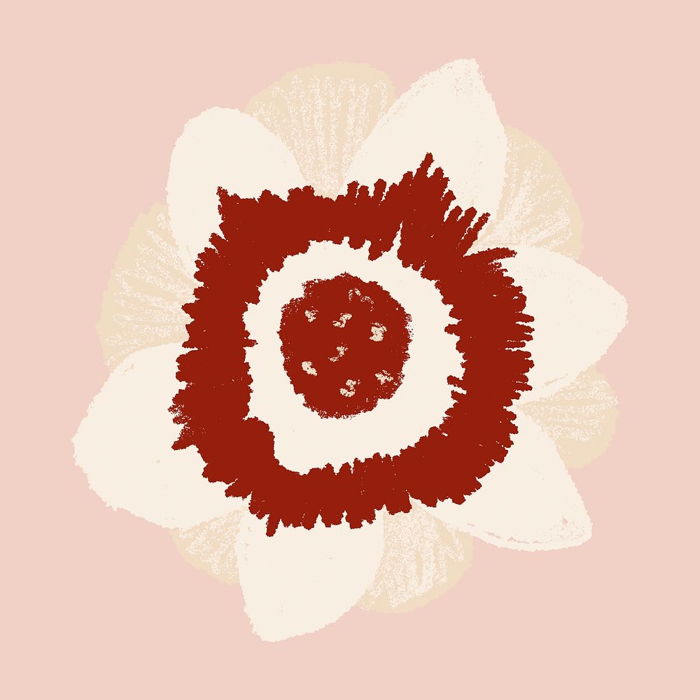 Anemone white flower hand drawn illustration