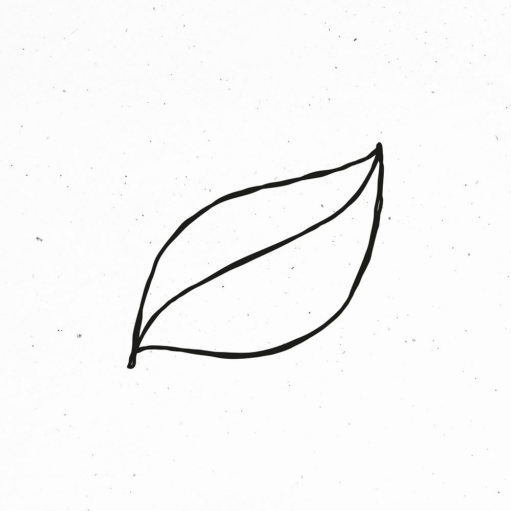 Black and white leaf psd clipart