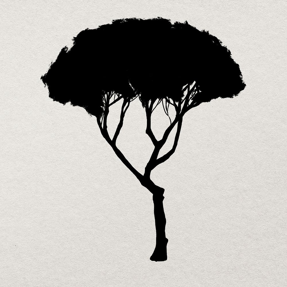 Black tree ink drawing on paper 