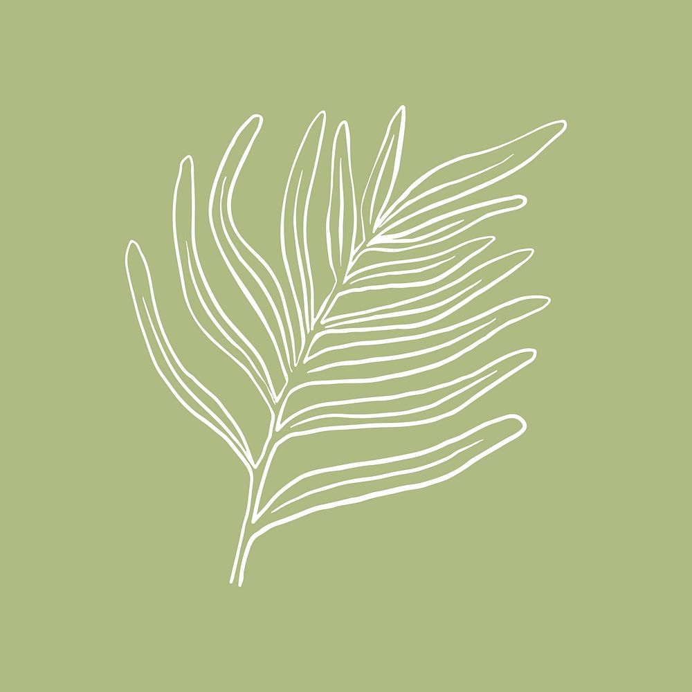 Fern leaf tropical doodle botanical illustration
