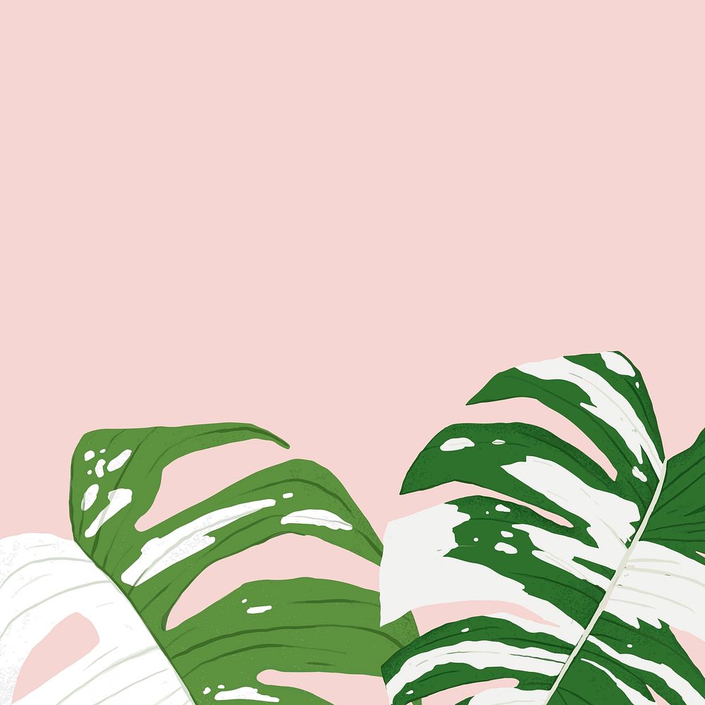 Tropical background monstera variegated plant illustration