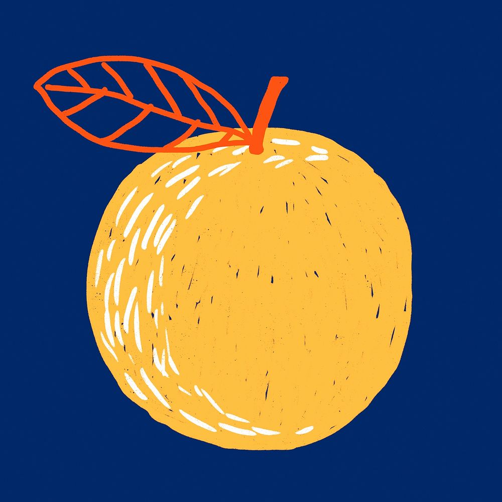 Cute orange fruit doodle drawing
