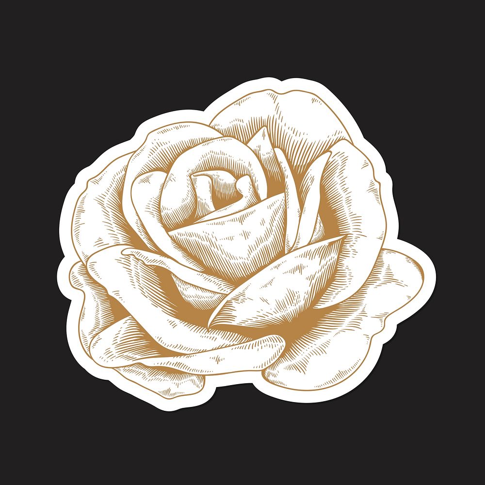 Gold and white rose sticker with a white border vector