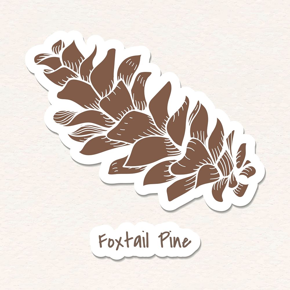 Brown foxtail pine cone sticker with a white border vector