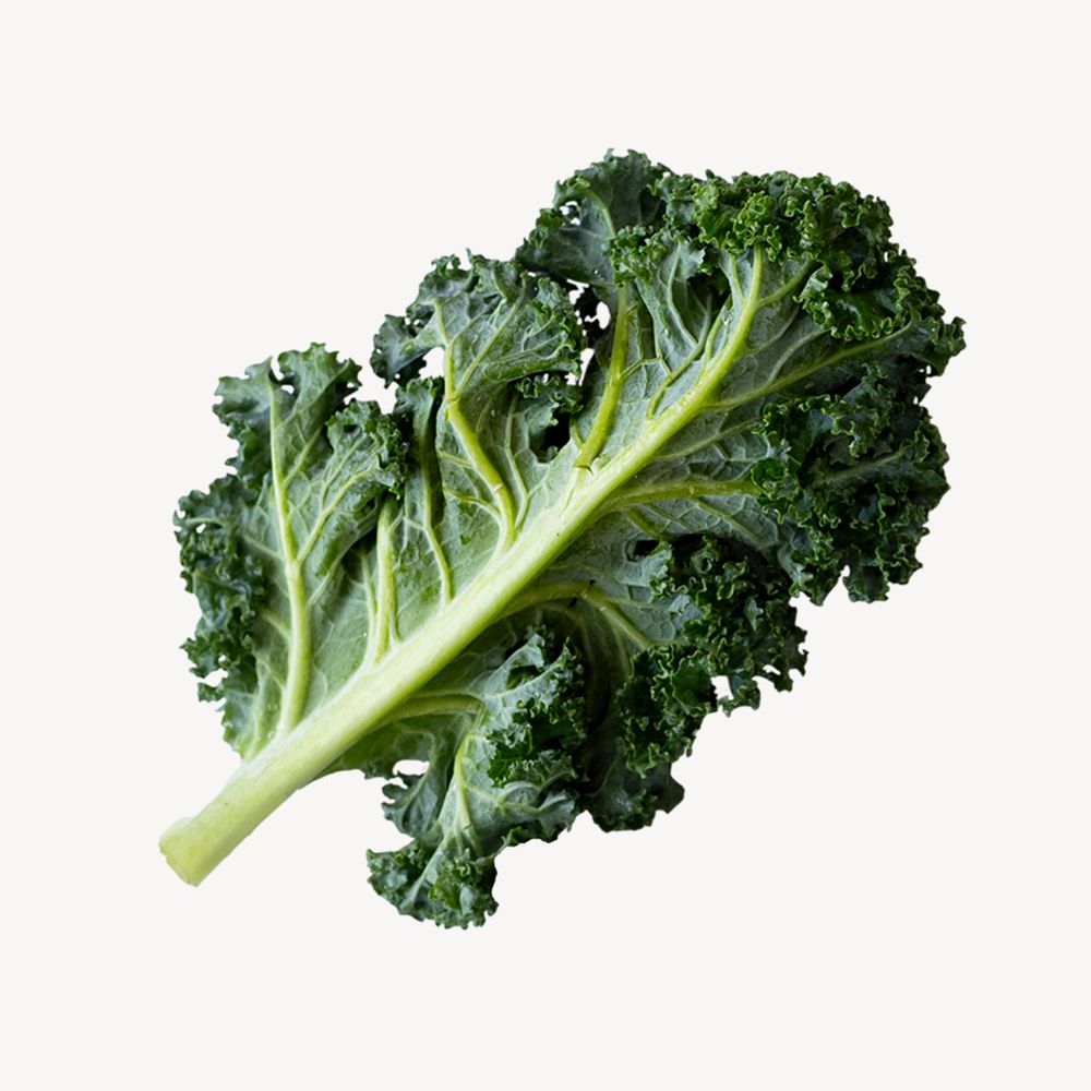 Fresh kale, superfood collage element psd