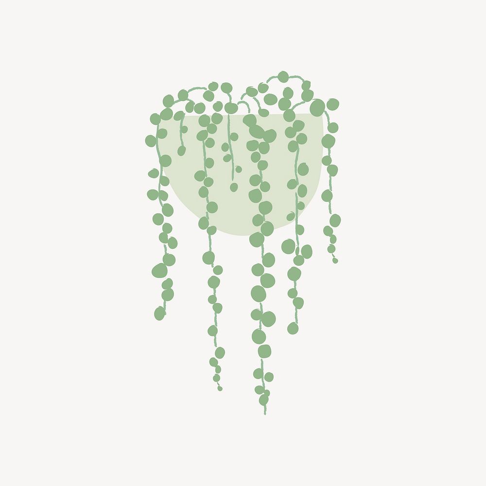 String of pearl doodle houseplant element vector