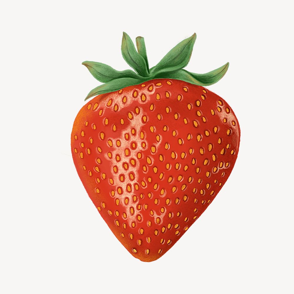 Strawberry hand drawn illustration, collage element psd
