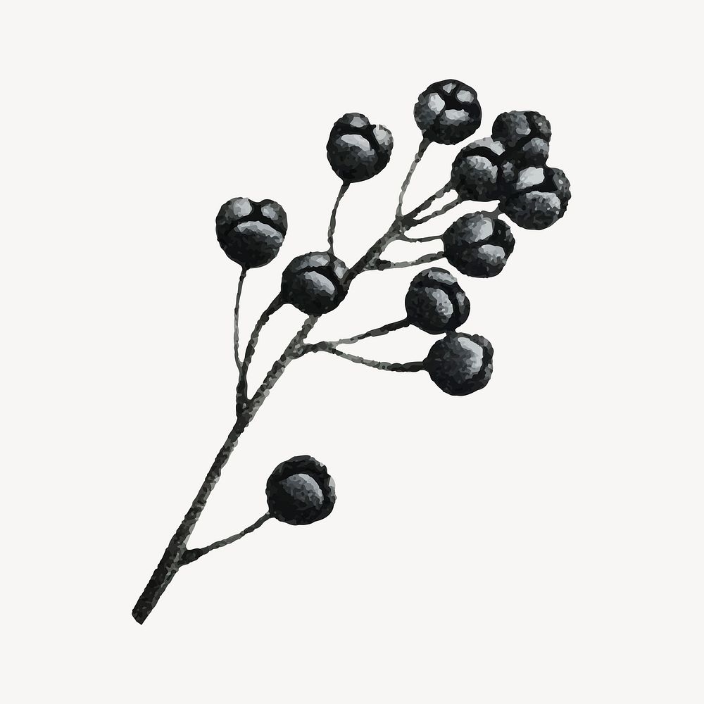 Fruit branches black illustration collage element psd