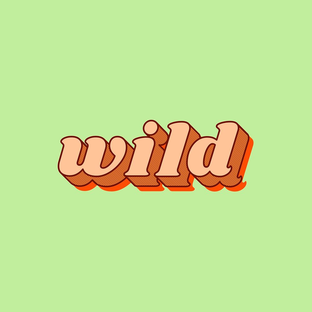 Wild word retro shadow font typography