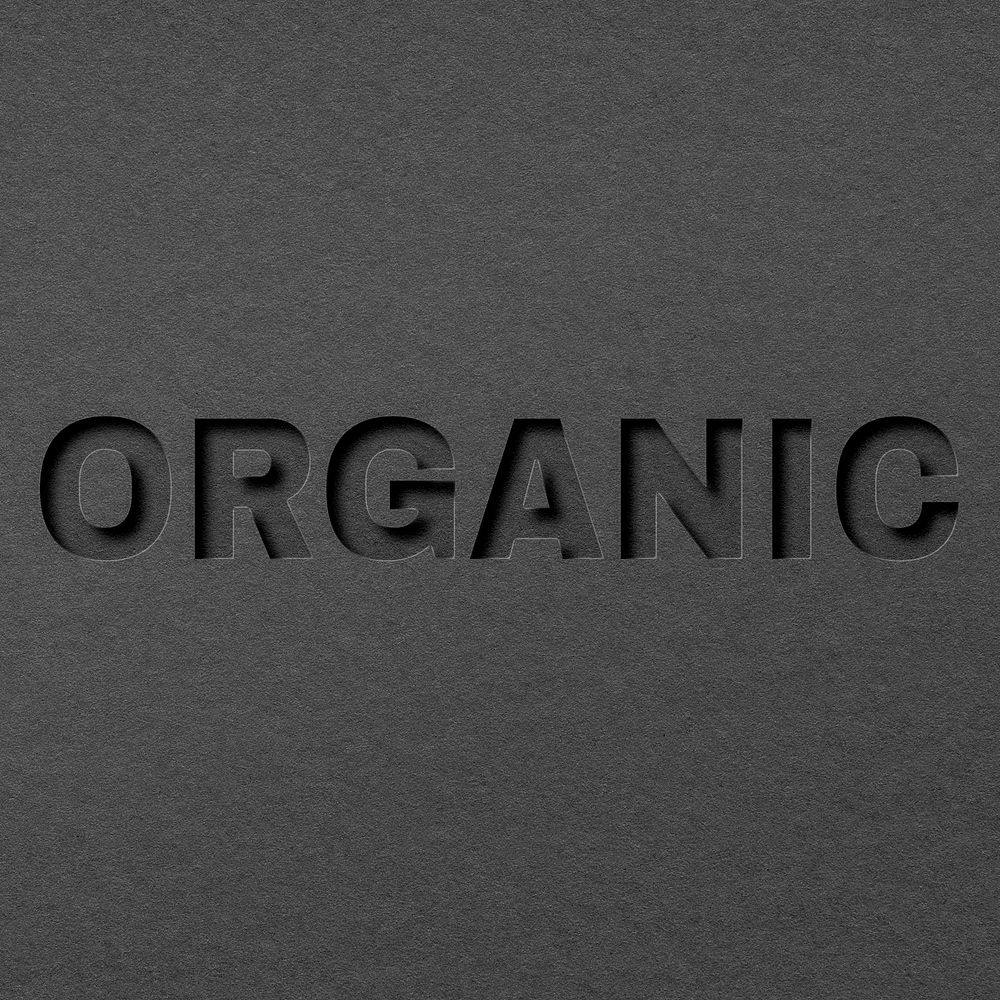 Paper cut 3d lettering organic font typography
