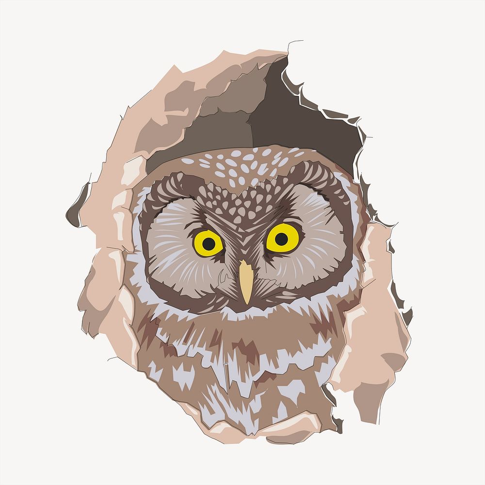 Owl collage element vector. Free | Free Vector - rawpixel