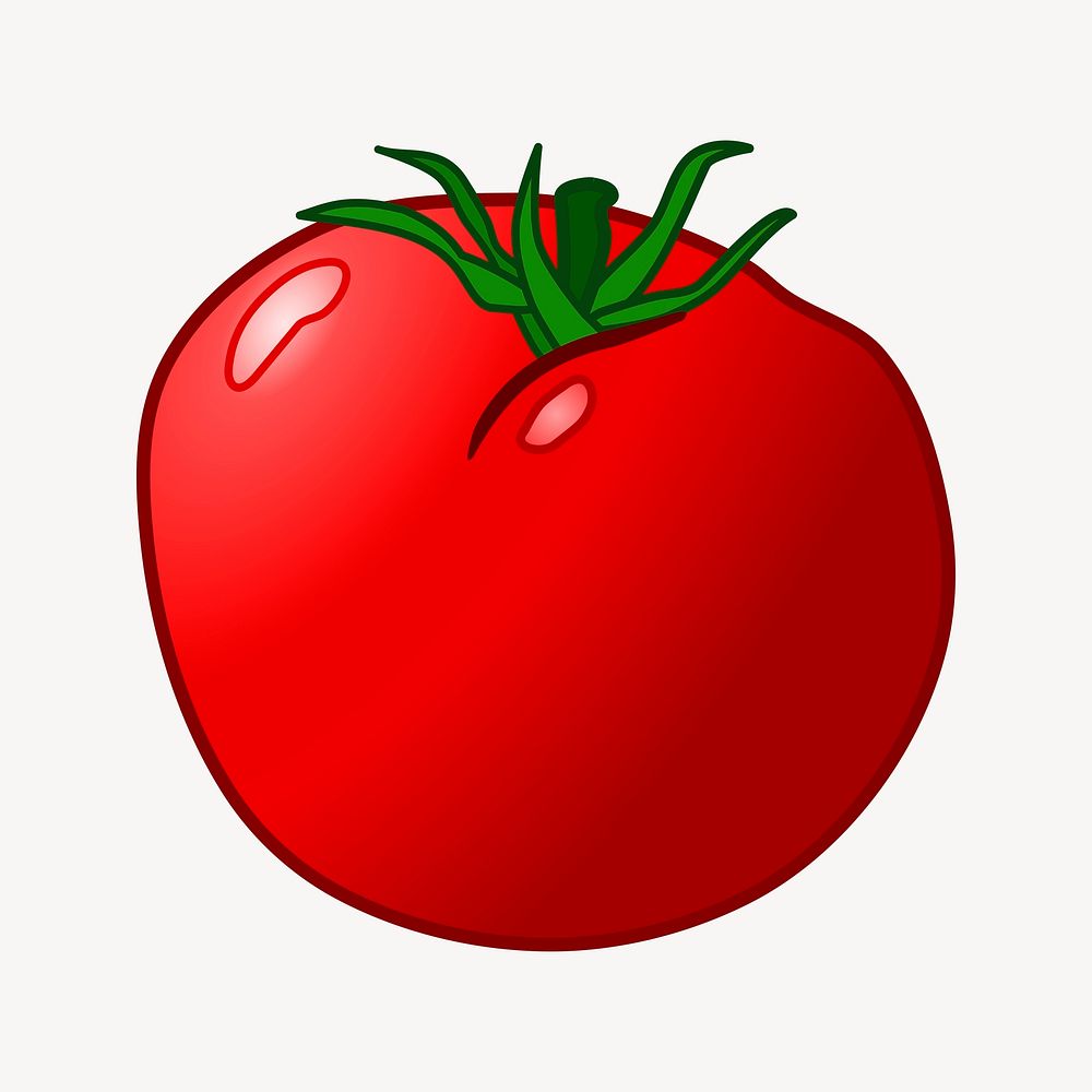 Tomato illustration. Free public domain CC0 image.