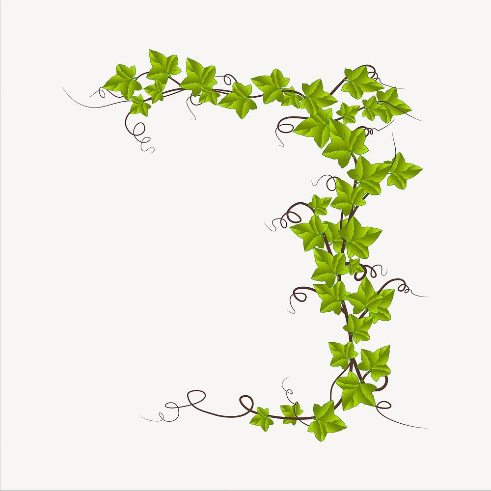 Vine plant clipart, illustration. Free public domain CC0 image.