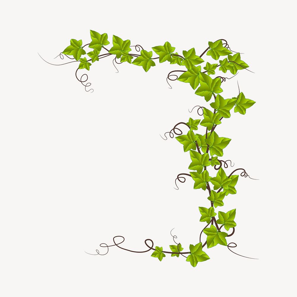 Vine plant clipart, illustration psd. Free public domain CC0 image.