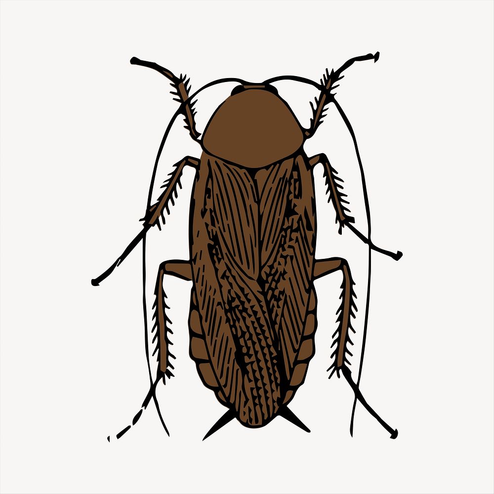 Cockroach clipart, illustration. Free public domain CC0 image.