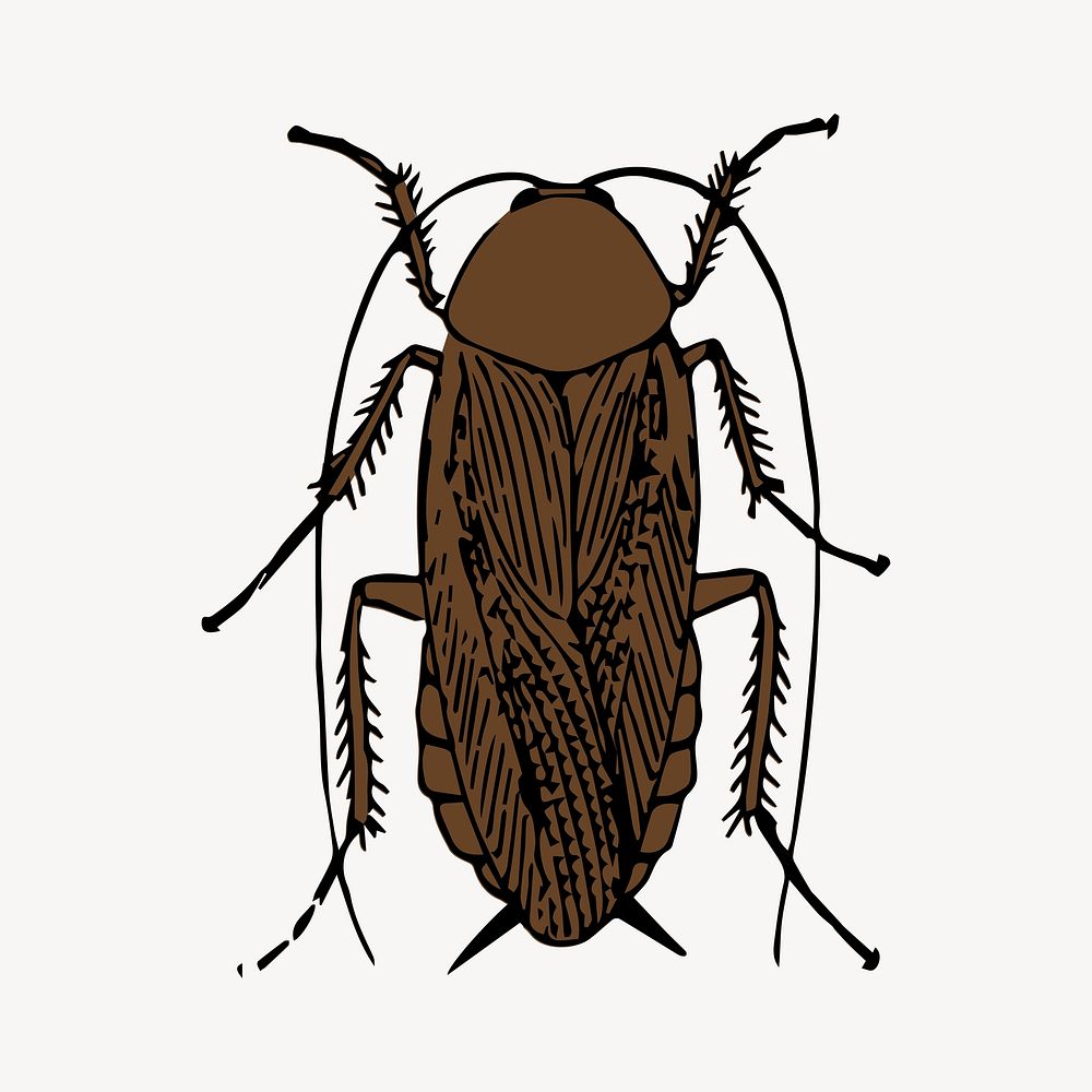 Cockroach clipart, illustration psd. Free public domain CC0 image.