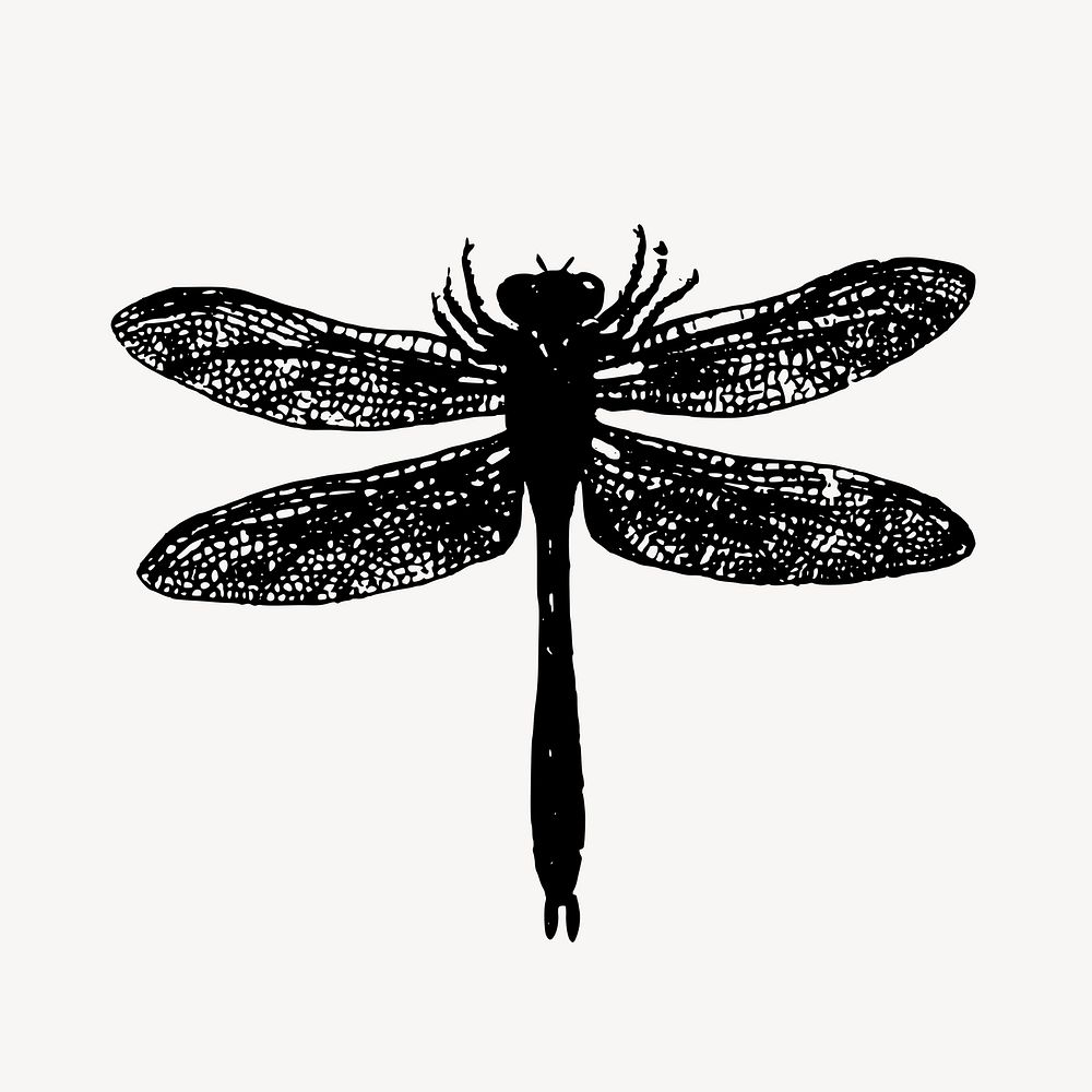 Dragonfly collage element vector. Free public domain CC0 image.