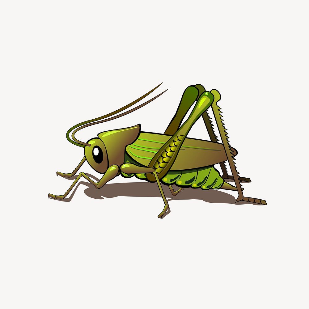 Grasshopper collage element psd. Free public domain CC0 image.