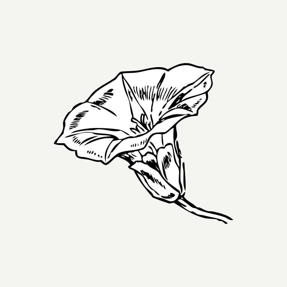 Bell flower clipart, illustration psd. Free public domain CC0 image.