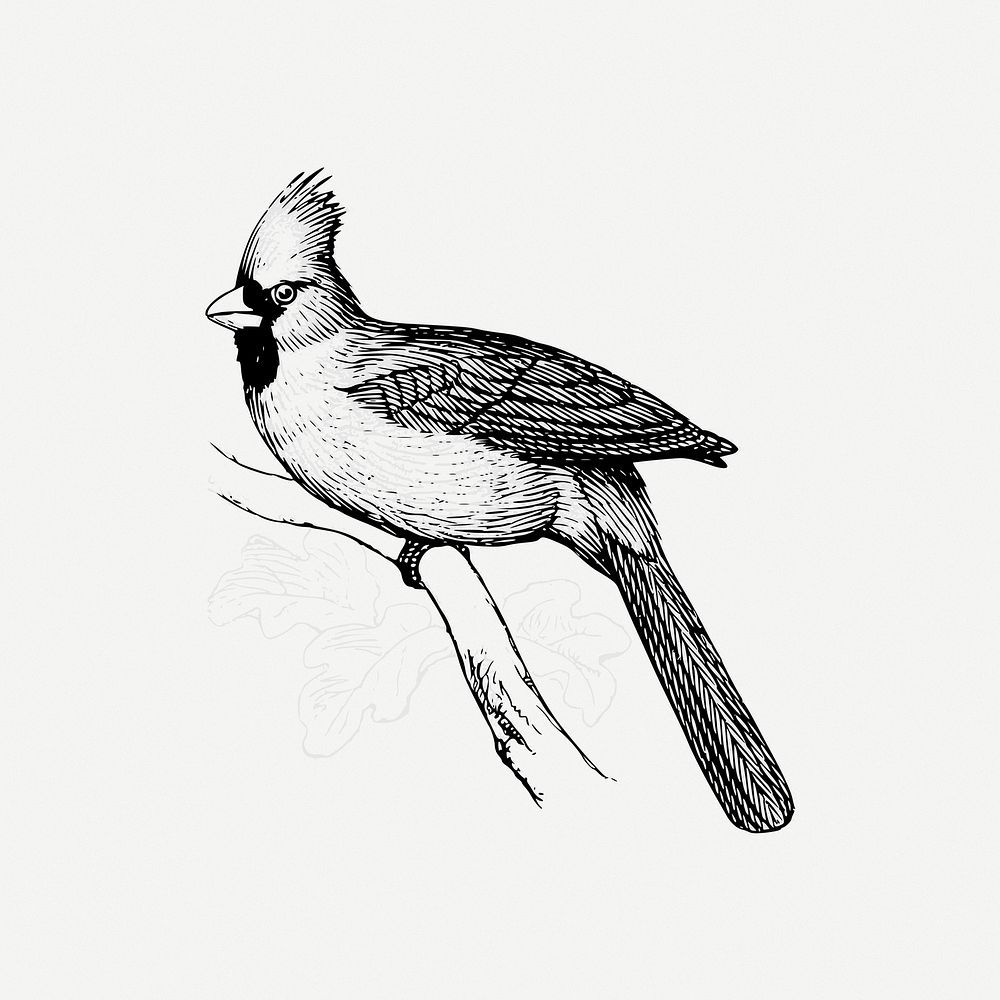 Bird collage element psd. Free public domain CC0 image.