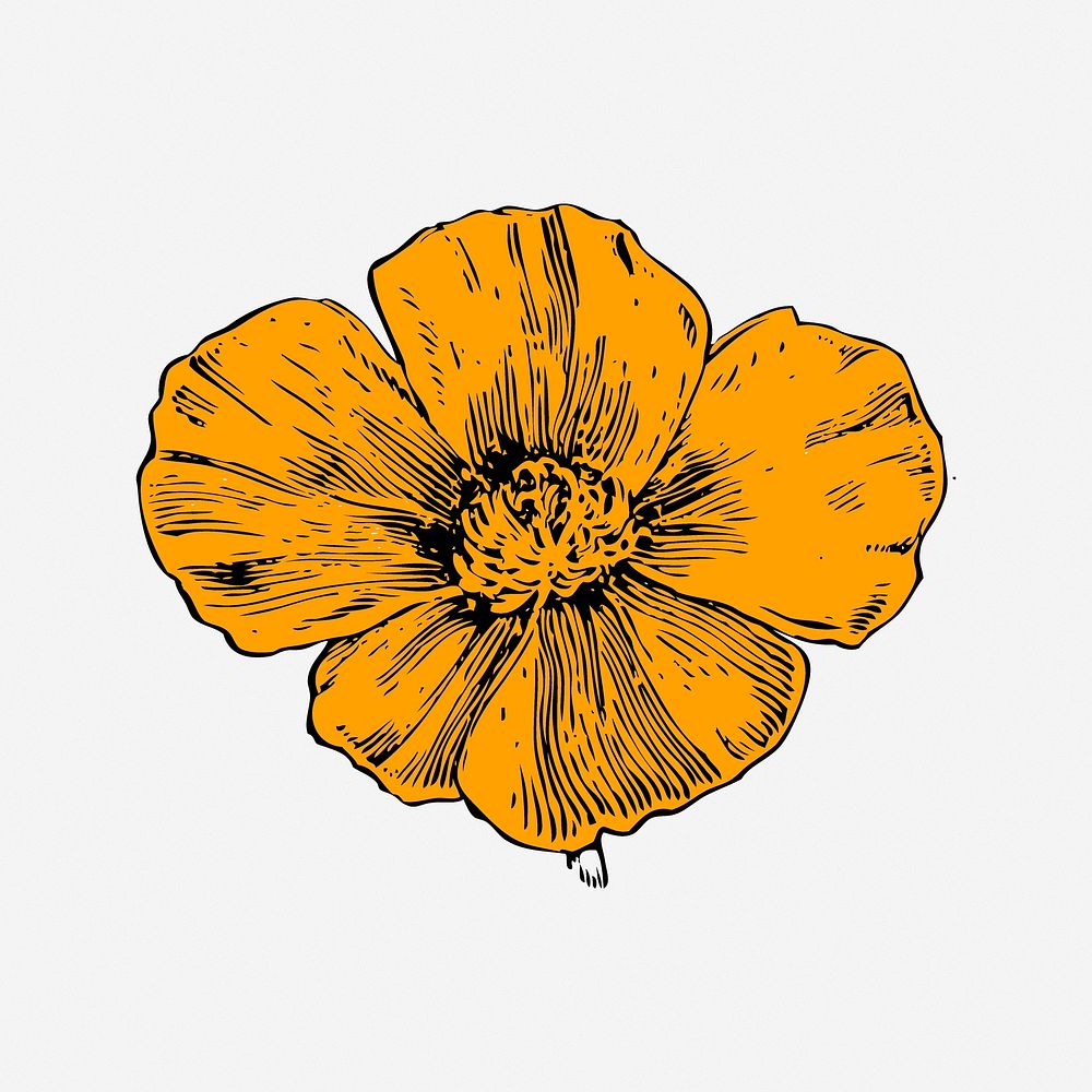 Flower illustration. Free public domain CC0 image.