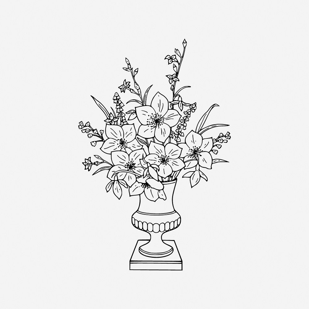 Vintage flower vase illustration. Free public domain CC0 image.