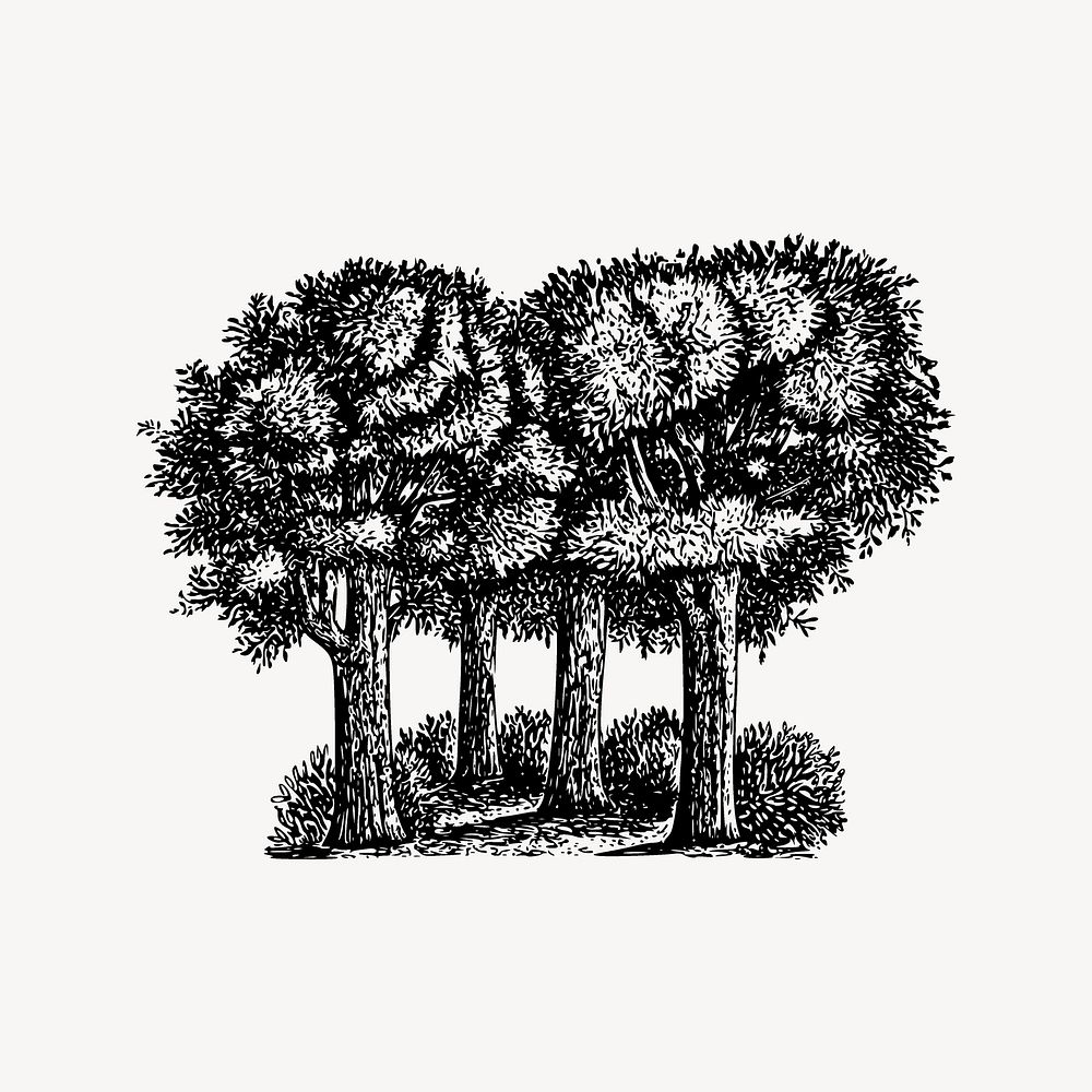 Tree collage element vector. Free public domain CC0 image.