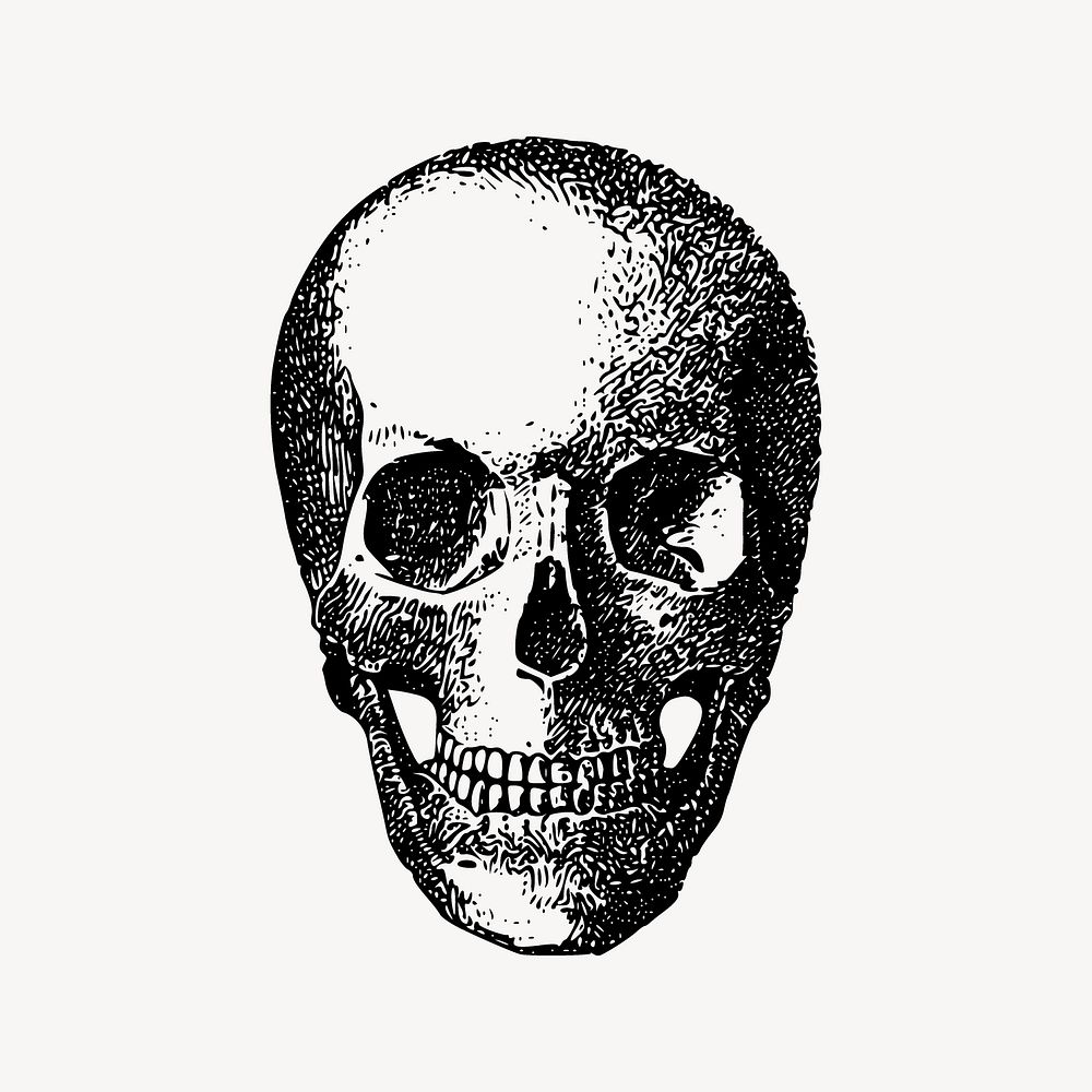 Human skull collage element vector. Free public domain CC0 image.