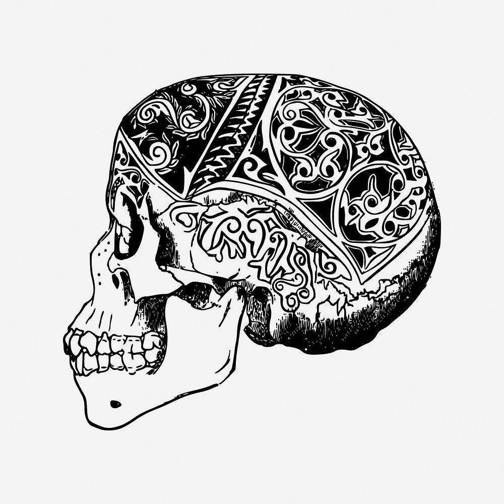 Decorative skull clipart, illustration. Free public domain CC0 image.