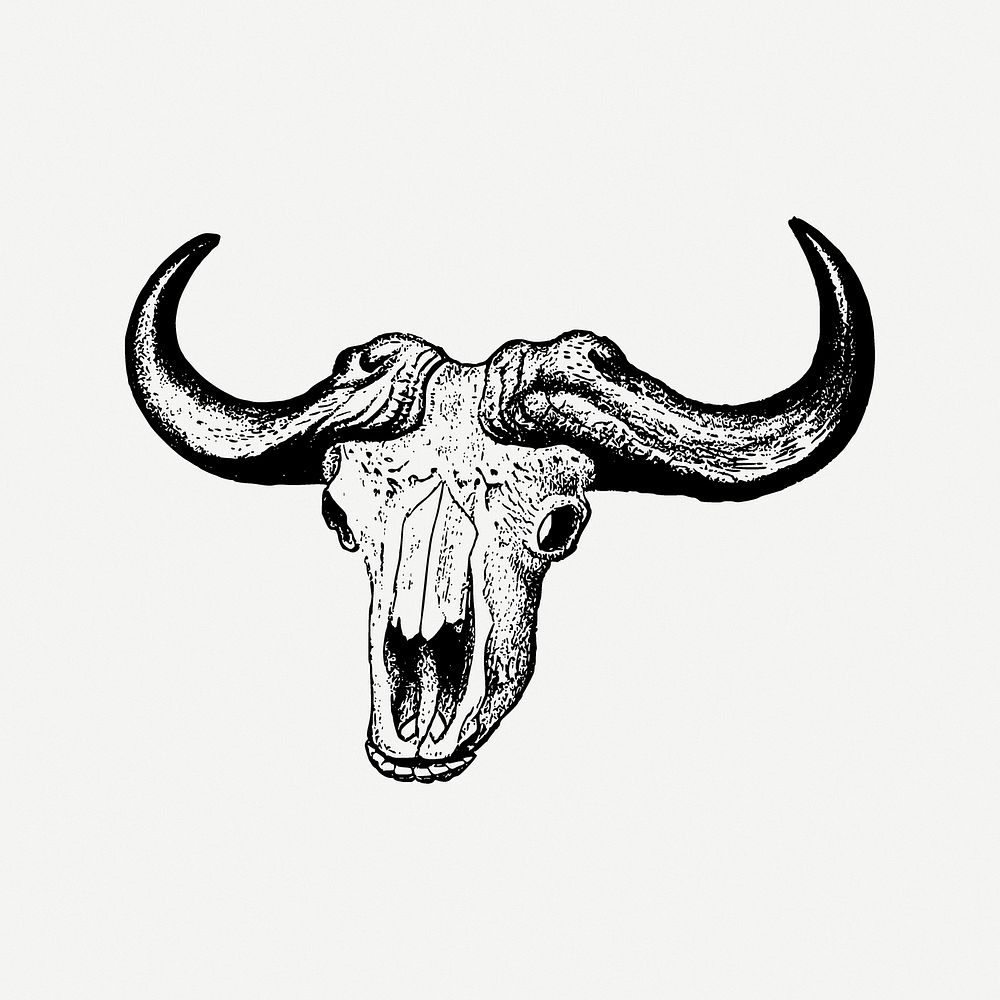 Bull skull clipart, illustration psd. Free public domain CC0 image.