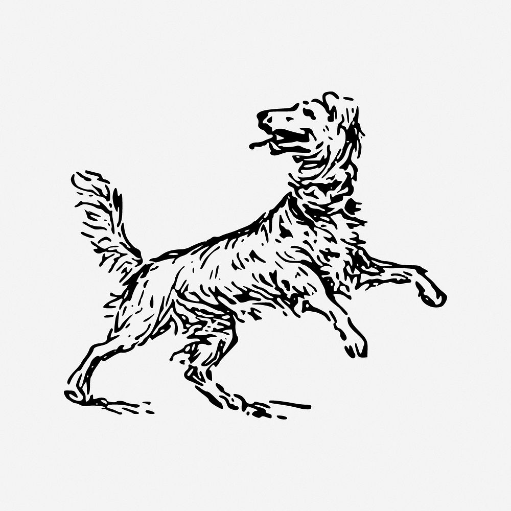 Dog illustration. Free public domain CC0 image.