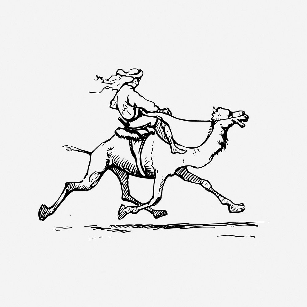 Camel riding clipart, illustration. Free public domain CC0 image.
