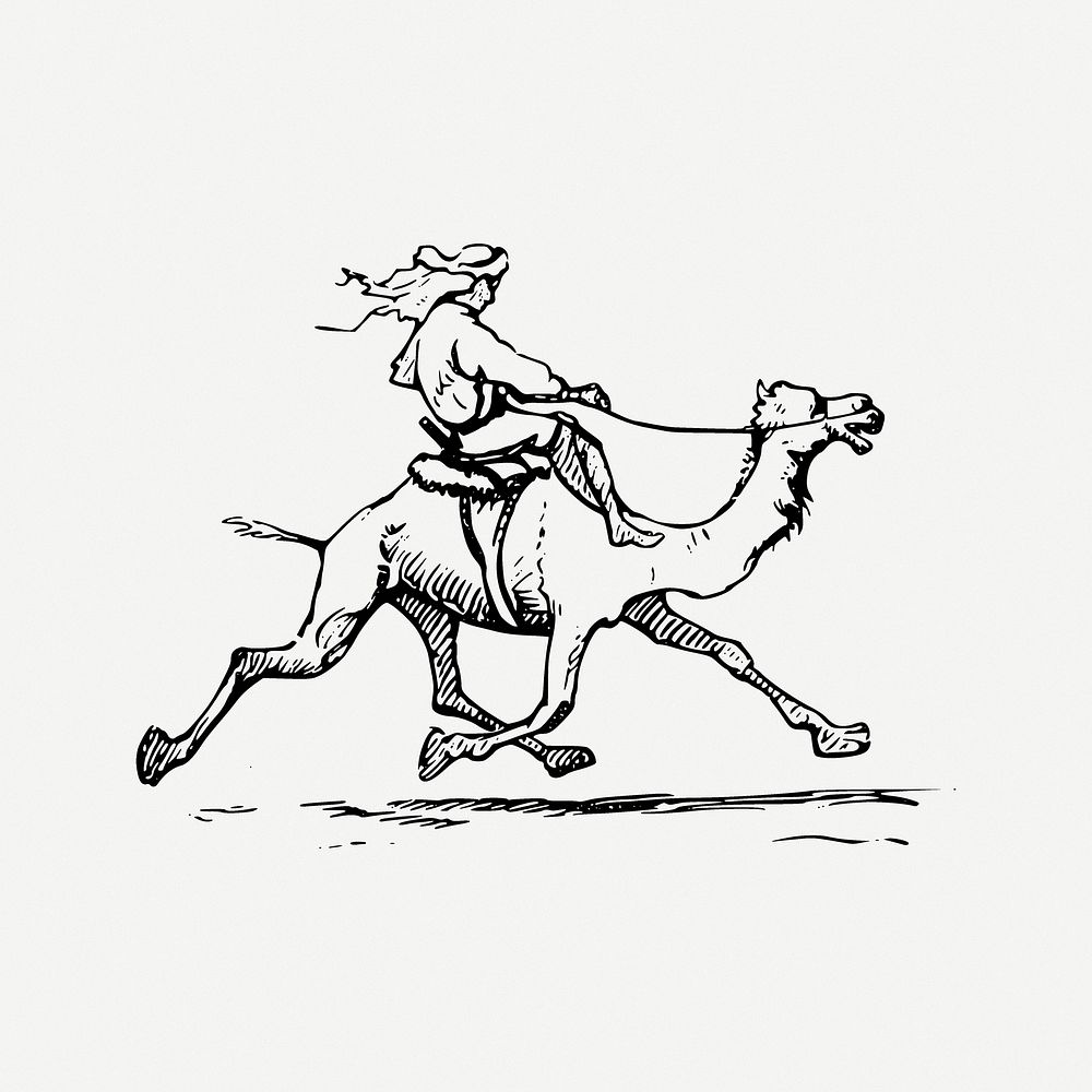 Camel riding clipart, illustration psd. Free public domain CC0 image.