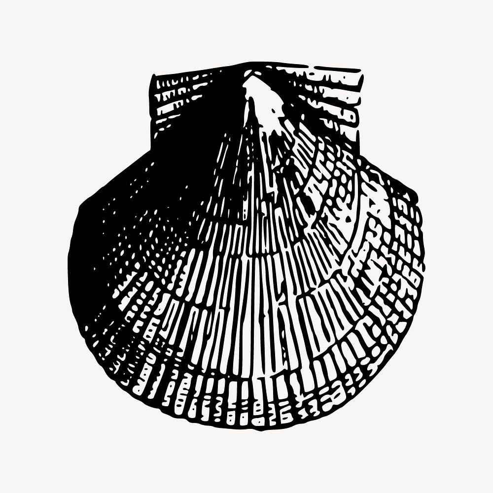 Scallop sea shell collage element vector. Free public domain CC0 image.