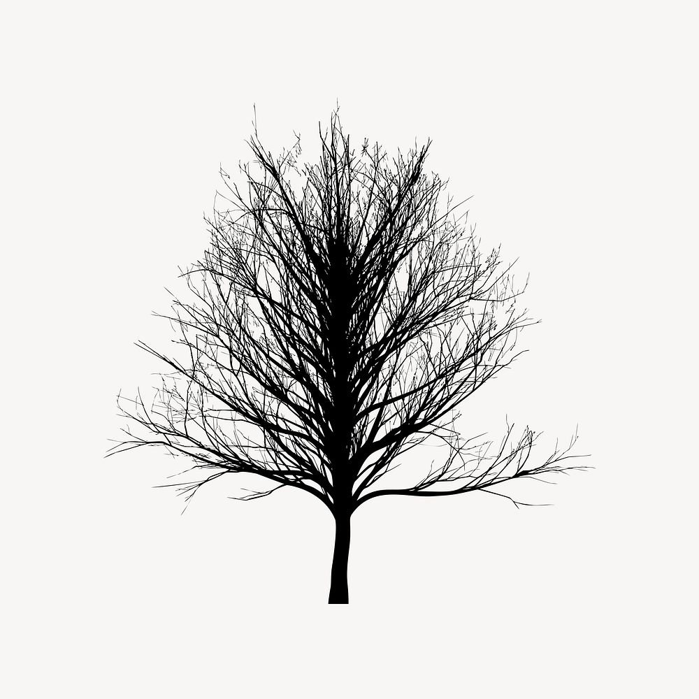 Leafless tree clip art psd. Free public domain CC0 image.