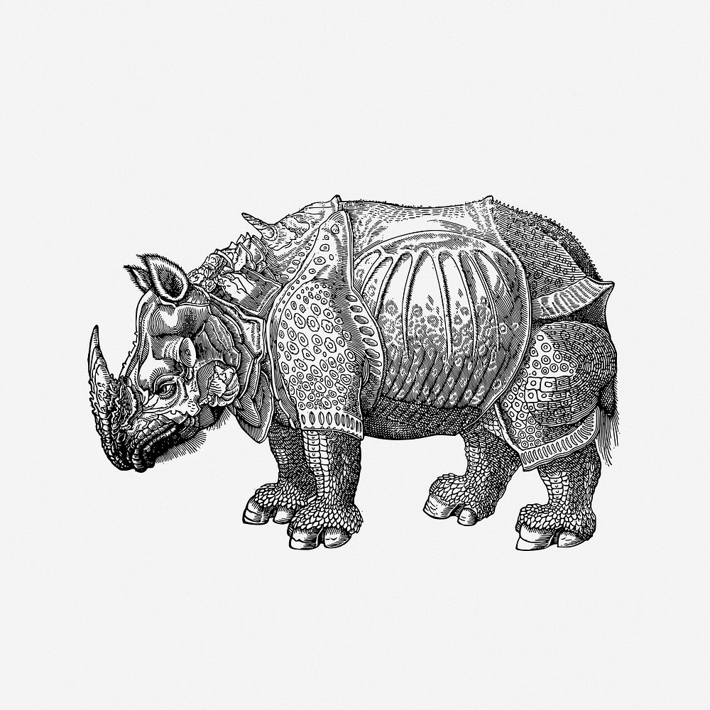 Rhinoceros animal clip  art. Free public domain CC0 image.