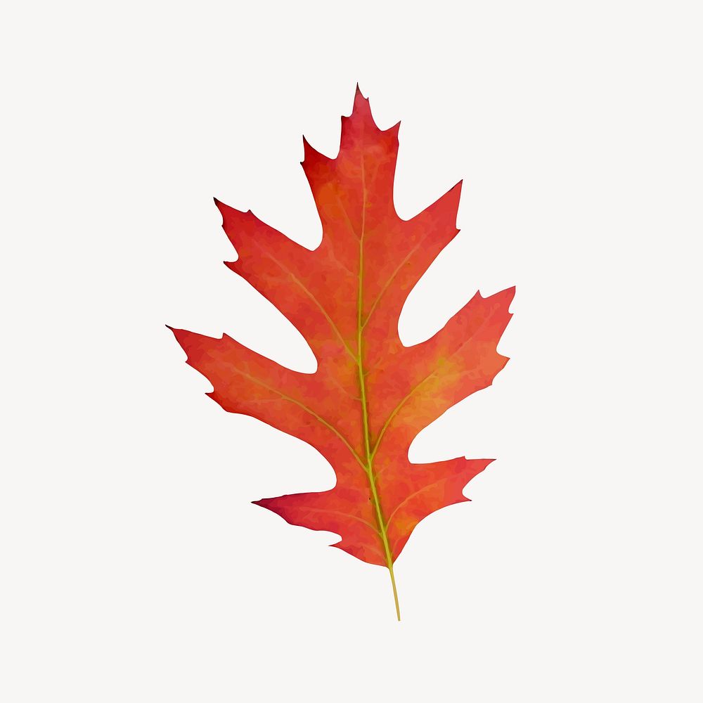Autumn leaf clip art vector. Free public domain CC0 image.