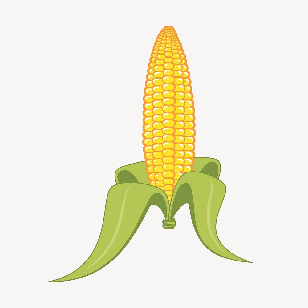 Corn illustration vector. Free public domain CC0 image.
