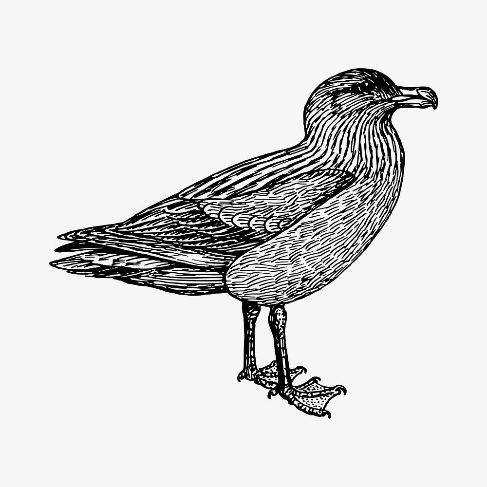 Bird clipart illustration vector. Free public domain CC0 image.