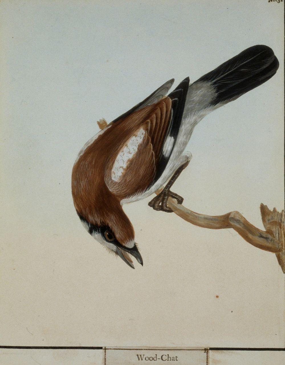 Wood Chat, No. 32. Original from the Minneapolis Institute of Art.