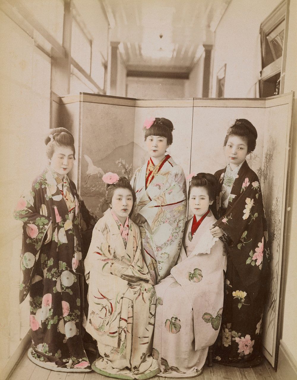 portrait of five young ladies in tradition Japanese garments; three standing, two seated; folding screen behind figures;…