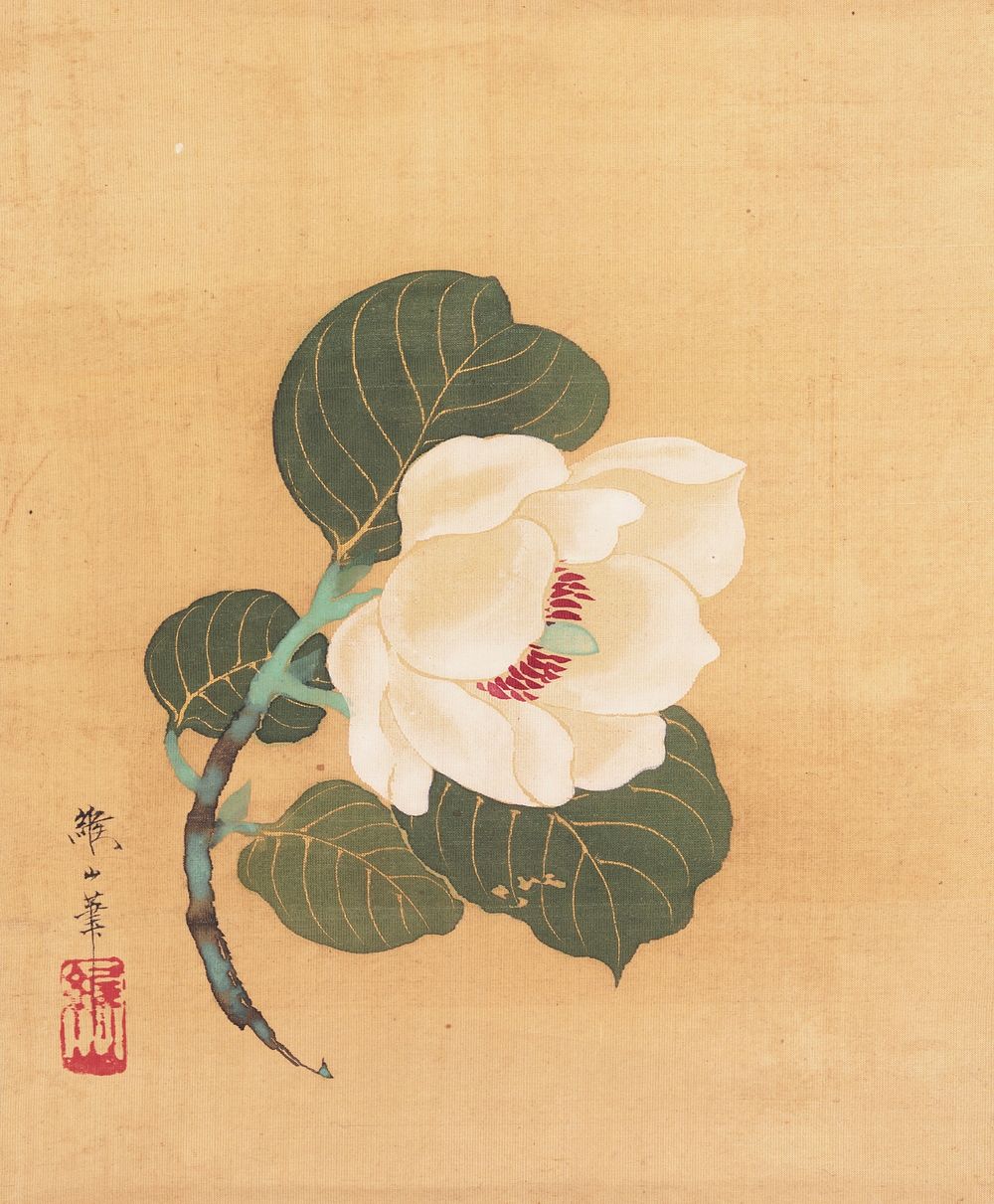 3/4 view of white flower with red stamen and green pistil; rounded green leaves painted with gold veins; on a curving, short…
